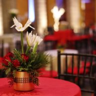 eventoscorporativos206